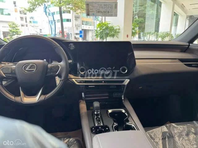 Ảnh số 7