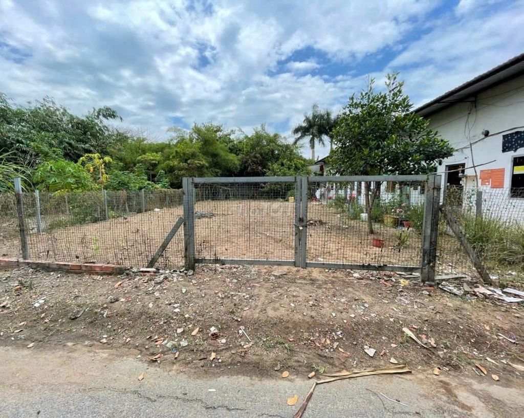 Đất khu trung tâm Củ Chi. 159m2. Thổ cư sẵn. SHR. Giá đầu tư cực tốt