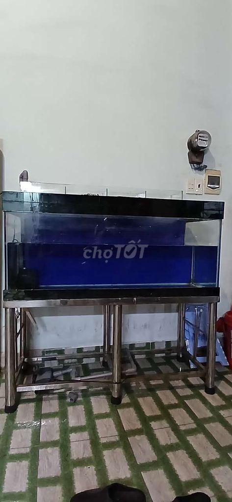 thu các dòng cá rồng lỗi chuẩn đều được . Mua bán Thú cưng khác tại Quận 12 Tp Hồ Chí Minh được đăng bởi Linh Dan hình 1