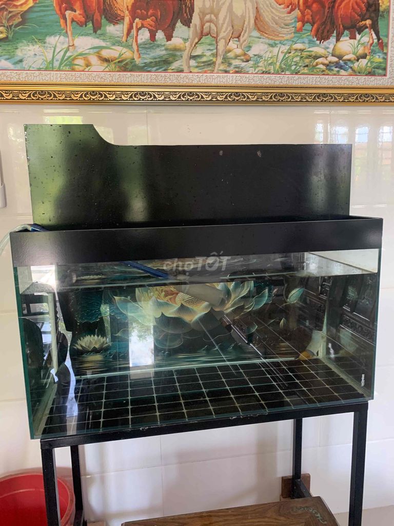 Bể cá cảnh 40x80 kèm bơm lọc kệ. Mua bán Phụ kiện, Thức ăn, Dịch vụ tại Huyện Phú Vang Thừa Thiên Huế được đăng bởi trương tuấn khải lộc hình 1