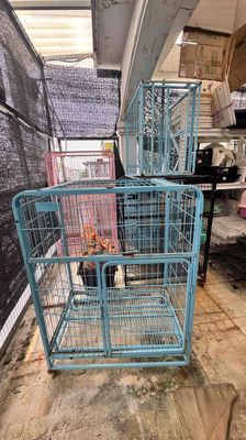 Chuồng mèo sắt sơn tĩnh điện xanh dương 2-3 tầng. Mua bán Phụ kiện, Thức ăn, Dịch vụ tại Quận Phú Nhuận Tp Hồ Chí Minh được đăng bởi Lê Phi Yến