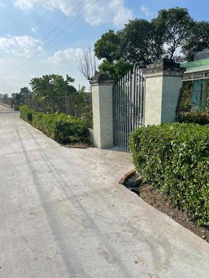 🌿 TÂN ĐÔNG – GÒ CÔNG | SÁT BÊN TP GÒ CÔNG 390TR VIEW KÊNH ĐẸP