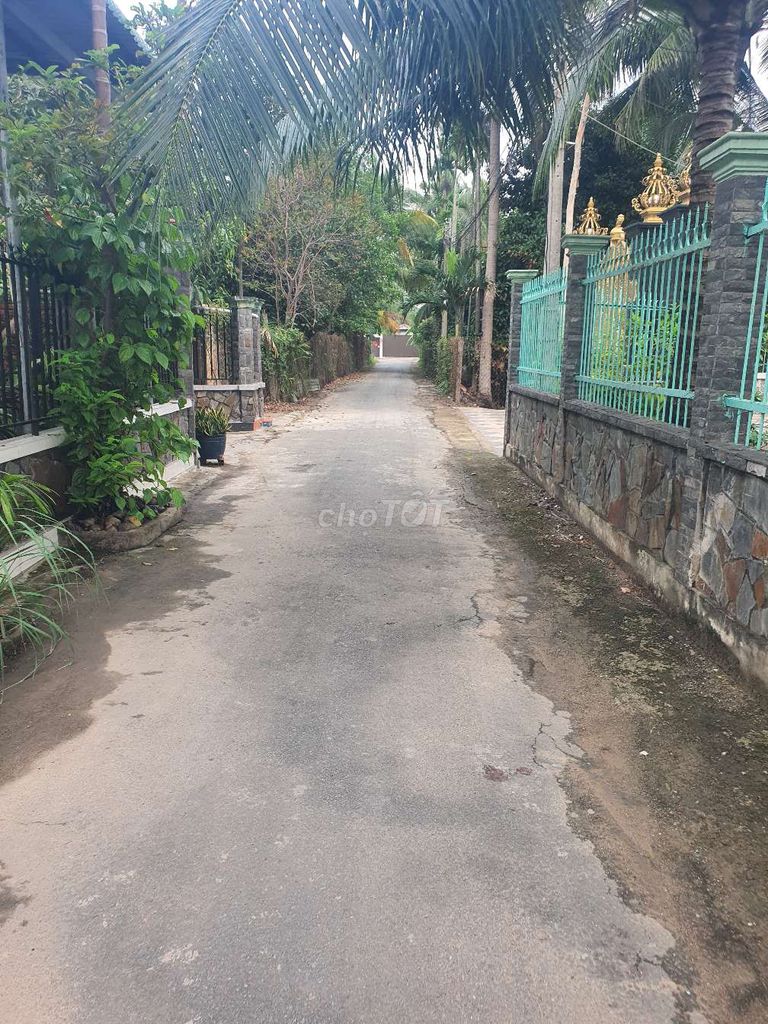 ĐẤT AN THẠNH 19 ,SÁT BÊN CHỢ BÚNG. Mua bán đất tại Thành phố Thuận An Bình Dương được đăng bởi Tân Nguyễn hình 3
