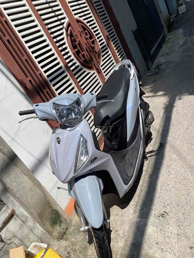 SYM Shak 50cc 2023 Xám