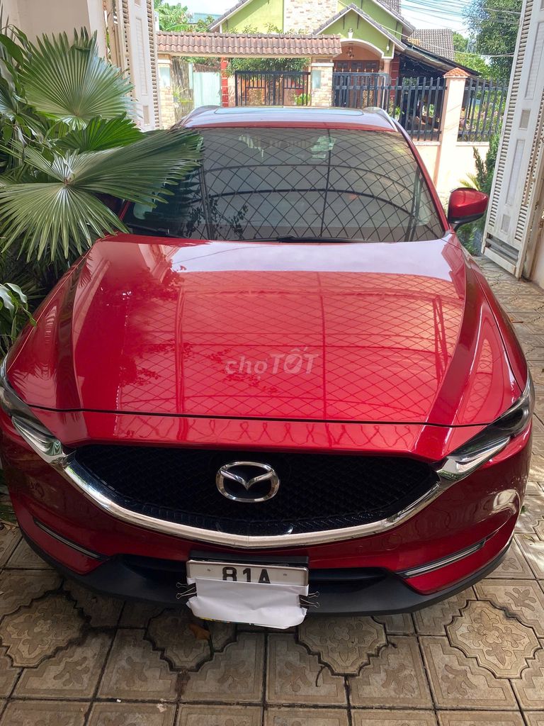 Ảnh số 5
