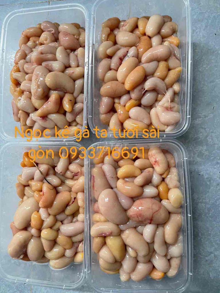 Ngọc kê gà ta 1kg Gà ta. Mua bán Gà tại Thành phố Dĩ An Bình Dương được đăng bởi nhi  hình 1
