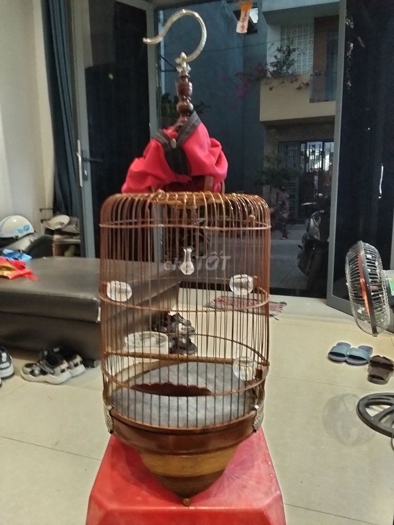 Lồng chim khuyên. Mua bán Chim tại Quận 12 Tp Hồ Chí Minh được đăng bởi Trương Nghĩa  hình 1
