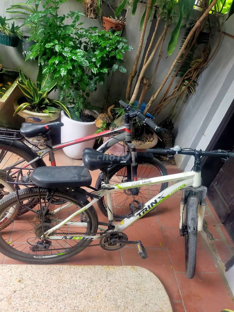 thanh lý cả 3. Mua bán Xe đạp tại Huyện Đông Anh Hà Nội được đăng bởi Nghiem Thu thuy hình 2