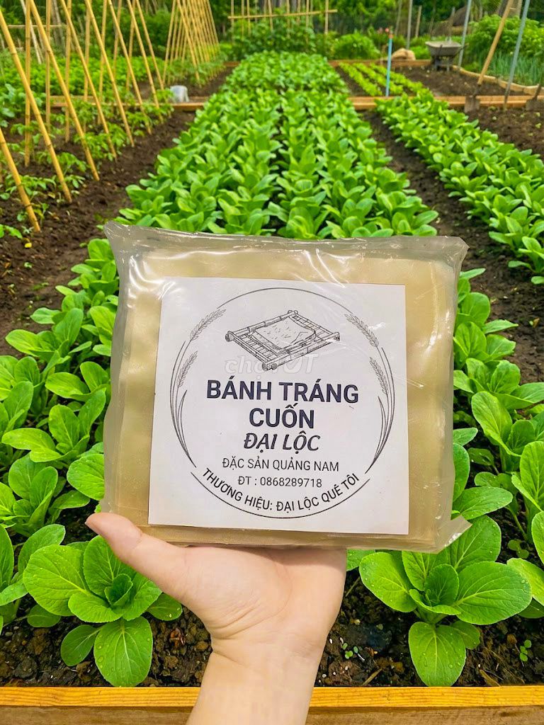 Bánh tráng cuốn Đại Lộc Quê Tôi. Mua bán Đồ ăn, thực phẩm và các loại khác tại Quận Gò Vấp Tp Hồ Chí Minh được đăng bởi Naviwood hình 1