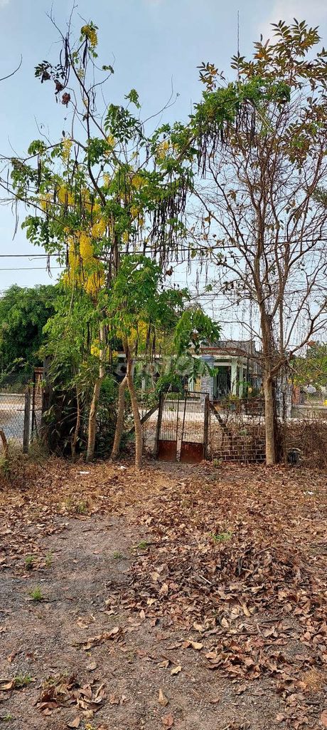 Đất sổ đỏ 501,7 m2 đường Hẻm 201 Xã Phú hòa Đông H. Củ Chi TP.HCM