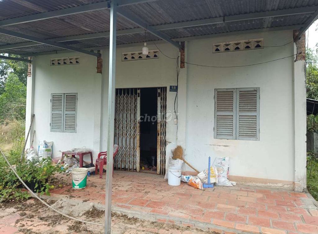 Cho thuê nhà trên diện tích 2000m2.