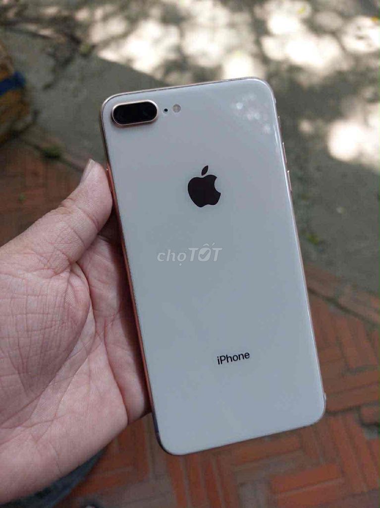 iPhone 8 Plus 64GB Vàng có Gl. Mua bán Điện thoại tại Huyện Gò Dầu Tây Ninh được đăng bởi Chuột lắc hình 1