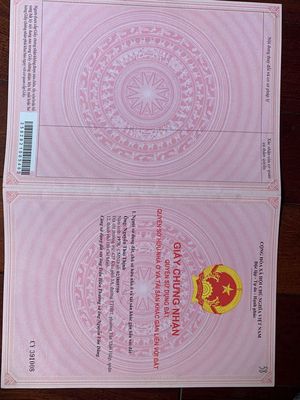 Bán đất đang trồng cây cao xu