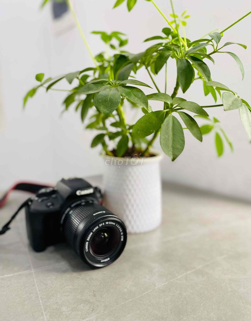 Máy ảnh Canon Kiss X7 Đen Đã sử dụng. Mua bán Máy ảnh, Máy quay tại Quận Ba Đình Hà Nội được đăng bởi HỒ LỆ hình 1