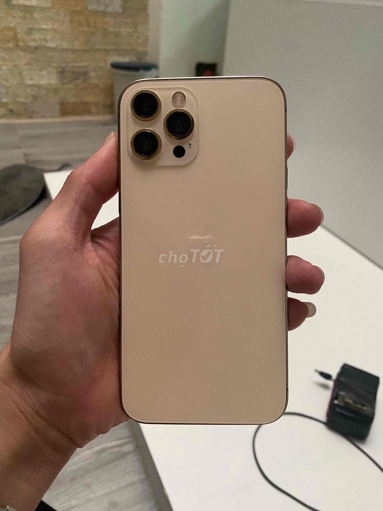iPhone 12 Pro Max Vàng look. Mua bán Điện thoại tại Quận 12 Tp Hồ Chí Minh được đăng bởi Đạt hình 1