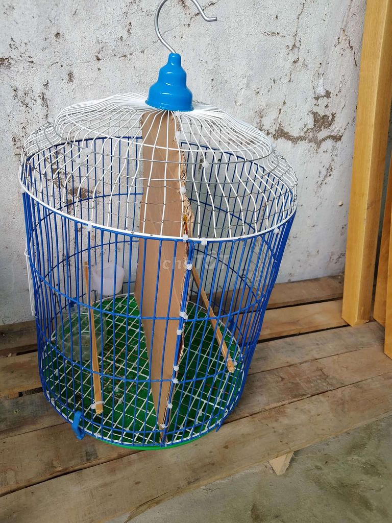 Lồng chim kim loại lớn. Mua bán Phụ kiện, Thức ăn, Dịch vụ tại Quận Bình Thuỷ Cần Thơ được đăng bởi Truong Anh Tuan hình 1