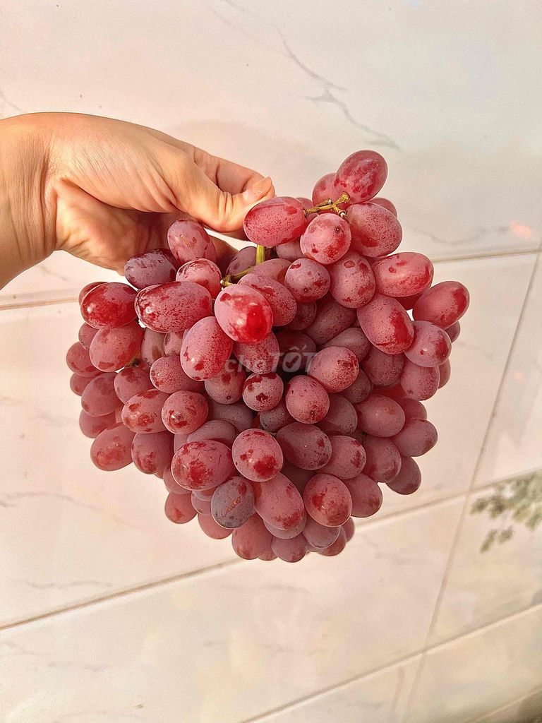 Nho Mẫu Đơn, nho Thái đỏ không hạt, nho gà víp. Mua bán Đồ ăn, thực phẩm và các loại khác tại Quận 4 Tp Hồ Chí Minh được đăng bởi Thoa Truong hình 1