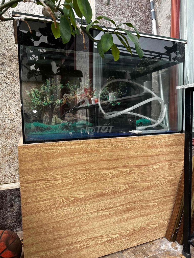 Bể cá mini Kính Gỗ. Mua bán Phụ kiện, Thức ăn, Dịch vụ tại Quận Hải An Hải Phòng được đăng bởi Hưng  hình 1