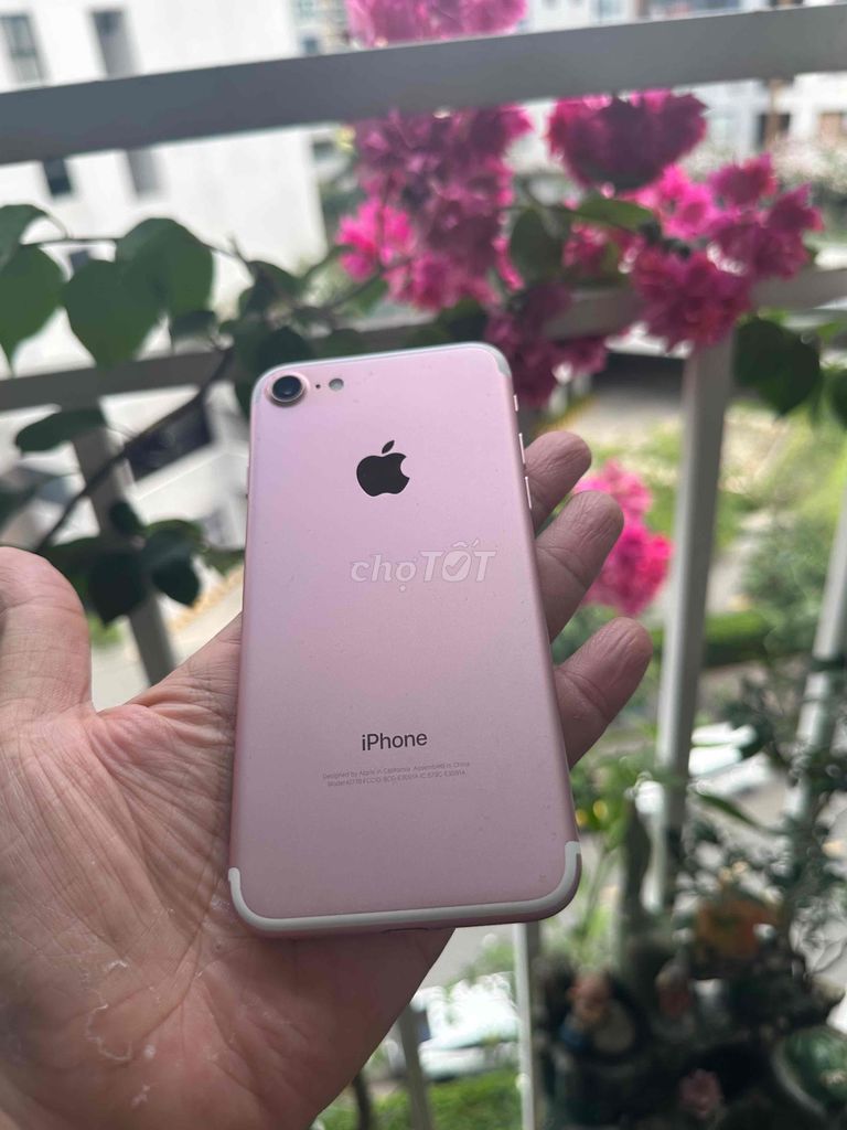 iphone 7 màu hồng 32G pin 100%