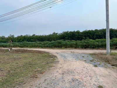 bán 1,2 mẫu rây tân châu tây ninh