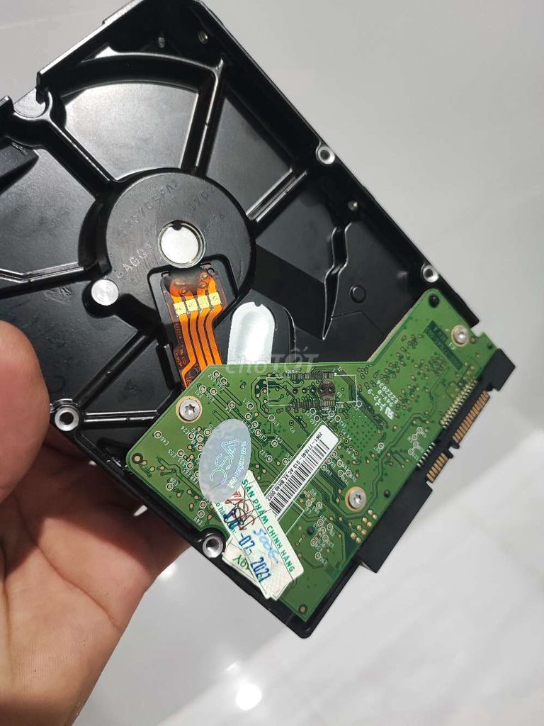 ổ cứng WD 500g. Mua bán Linh kiện (RAM, Card...) tại Huyện Châu Thành Kiên Giang được đăng bởi tha nguyễn  hình 1