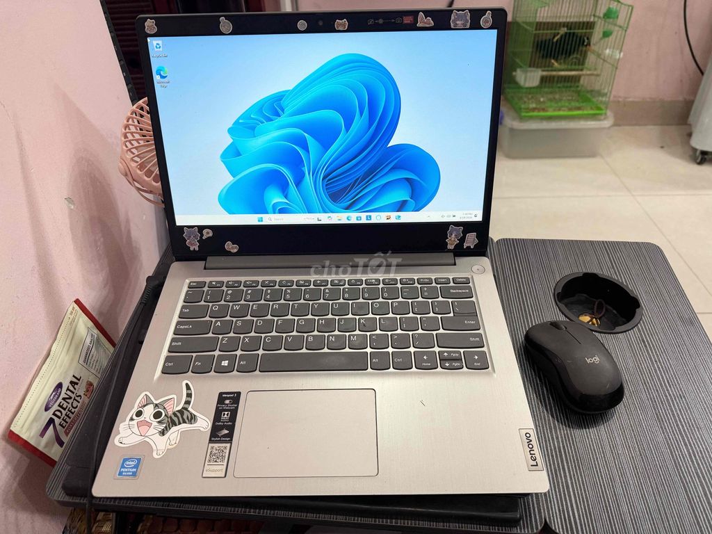 Lenovo Ideapad 3 4GB. Mua bán Laptop tại Quận 7 Tp Hồ Chí Minh được đăng bởi Pet Idol hình 1