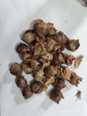 Tỏi đen nhà làm. Mua bán Đồ ăn, thực phẩm và các loại khác tại Quận 3 Tp Hồ Chí Minh được đăng bởi hnduy