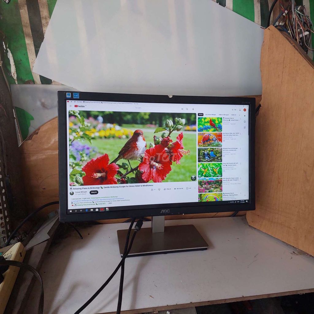 Màn hình máy tính AOC 22 inch Full HD. Mua bán Phụ kiện (Màn hình, Chuột...) tại Quận 11 Tp Hồ Chí Minh được đăng bởi hb computer hình 1