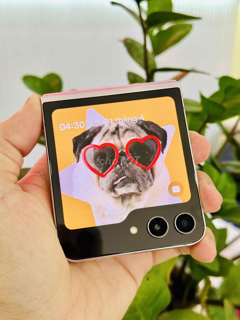 Samsung Zflip 5 256GB Màn Gập Thời Thượng. Mua bán Điện thoại tại Quận Thanh Khê Đà Nẵng được đăng bởi Thương Mobile hình 1