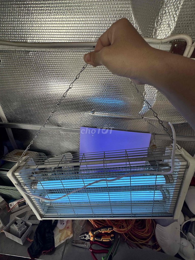 Đèn bắt côn trùng + 6 led bán nguyệt + 80m led dây. Mua bán Đèn tại Quận Ninh Kiều Cần Thơ được đăng bởi Hoàng hình 1