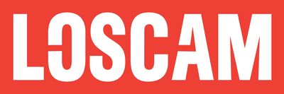 Công ty TNHH Loscam Việt Nam logo