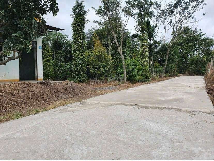 đất đầu tư dài hạn