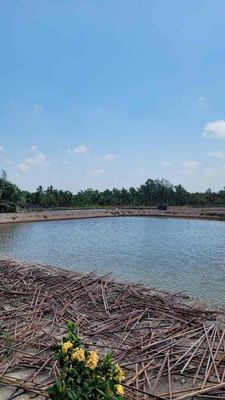 Bán Đất An Thạnh Tây Cù Lao Dung DT - (6293m2) - Giá 2ty7