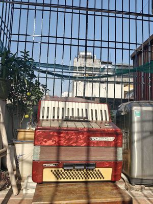 Đàn Accordion Đỏ Nhựa Kim loại. Mua bán Đồ sưu tầm, đồ cổ tại Quận Cầu Giấy Hà Nội được đăng bởi Hiếu Andy