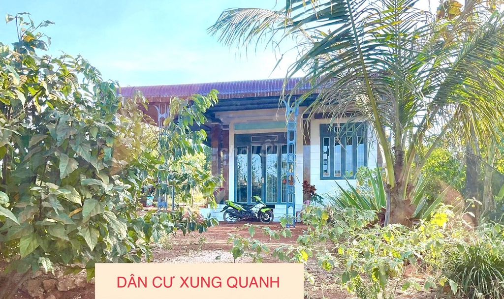 Bán Đất 1.000m2 CẬN HỒNG CƯMGAR Giá 129 Triệu