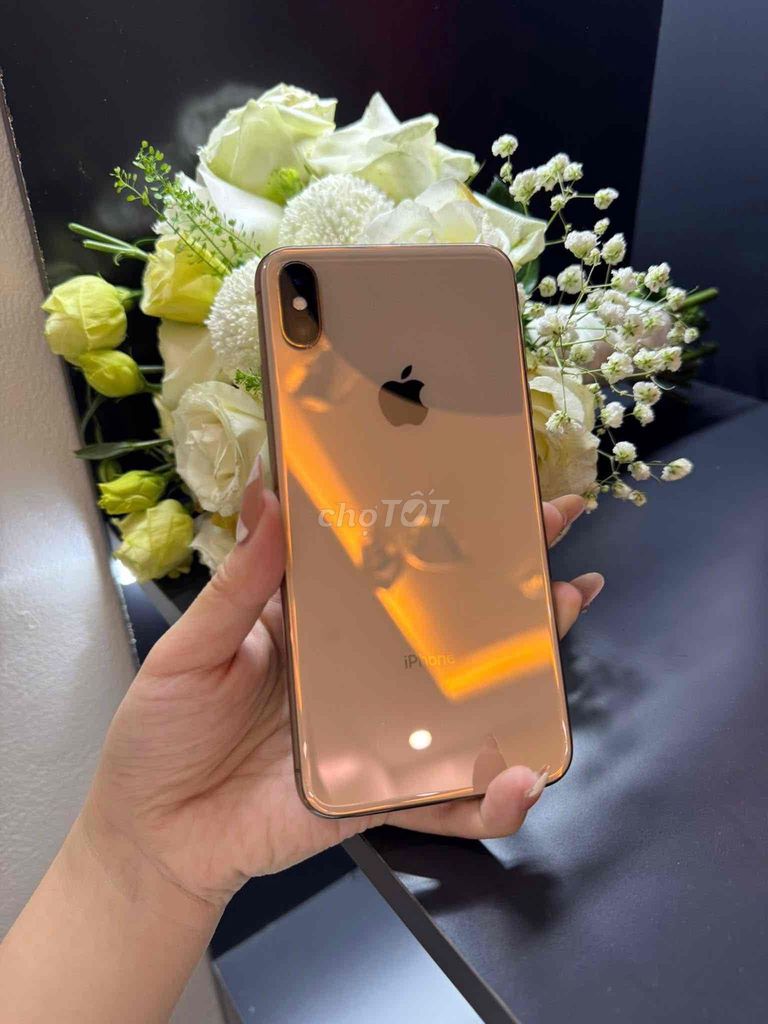 Apple iPhone XS Max Zin 256. Mua bán Điện thoại tại Quận Bắc Từ Liêm Hà Nội được đăng bởi Gia định hình 1