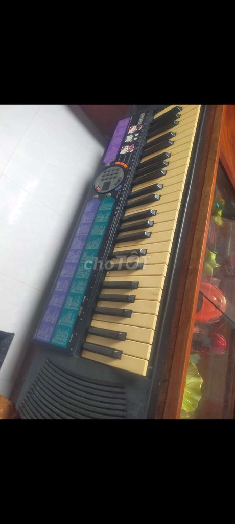 Đàn Organ Đen, trắng, tím. Mua bán Nhạc cụ tại Huyện Củ Chi Tp Hồ Chí Minh được đăng bởi  Thanh Nam  hình 1