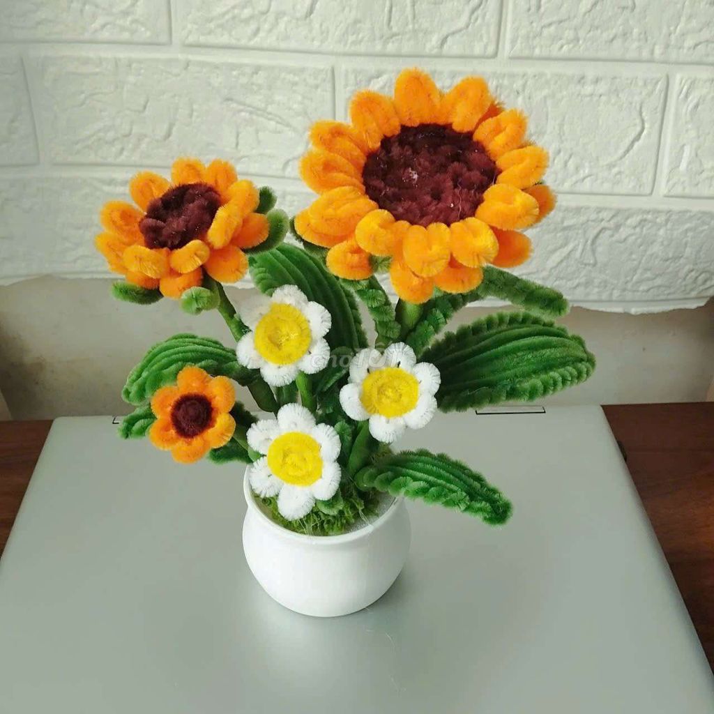 Hoa kẽm nhung siêu cute. Mua bán Cây cảnh, đồ trang trí tại Quận 8 Tp Hồ Chí Minh được đăng bởi A Phu 1982 hình 1