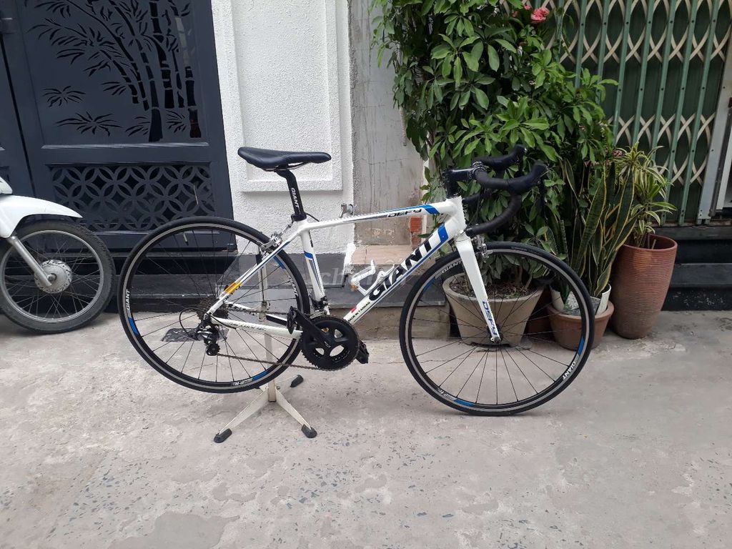 Xe GIANT PUỘC CARBON .SHIMANO ULTEGRA. Mua bán Xe đạp tại Quận 12 Tp Hồ Chí Minh được đăng bởi ngoc van nguyenn hình 6
