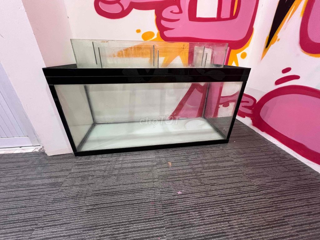 Bể cá kính 100x40x50cm lọc tràn. Mua bán Phụ kiện, Thức ăn, Dịch vụ tại Quận 12 Tp Hồ Chí Minh được đăng bởi Võ Tấn Thành hình 1