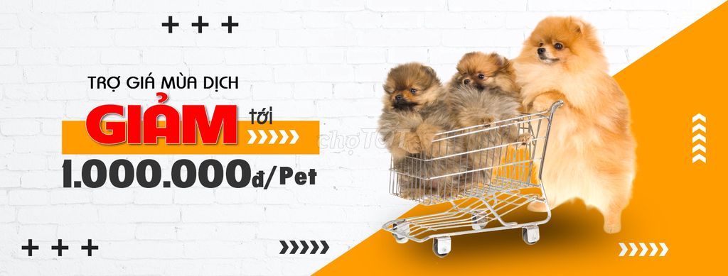 O PET - Animal Shop tại Quận Hoàng Mai, Hà Nội hình 2