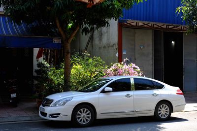 Nissan Teana 2010 2.0 AT nguyên bản