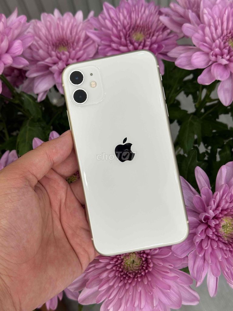 IPhone 11 64GB VN Trắng Pin zin98 đẹp 99% 2sim. Mua bán Điện thoại tại Quận Ninh Kiều Cần Thơ được đăng bởi Quý Mobile Cần thơ hình 1