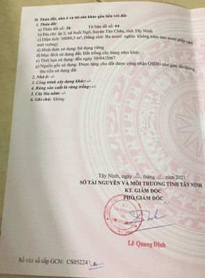 Bán 3 hecta đất cao su Tây Ninh. 5,6 tỷ