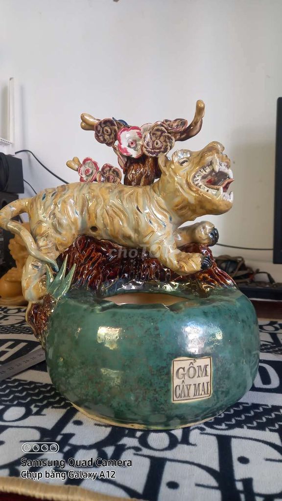 Cọp Cây Mai Cổ,. Mua bán Đồ sưu tầm, đồ cổ tại Thành phố Nha Trang Khánh Hòa được đăng bởi Thanh Nhatrang hình 1