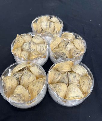 Tổ yến thô 500g 90% phom tổ A. Mua bán Đồ ăn, thực phẩm và các loại khác tại Quận Gò Vấp Tp Hồ Chí Minh được đăng bởi BÙI THỊ YẾN OANH 