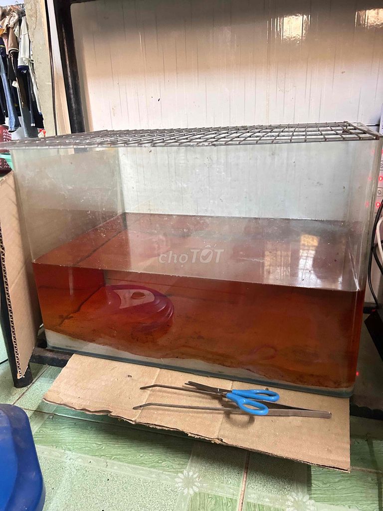 Hồ kính 52x37 Kính. Mua bán Phụ kiện, Thức ăn, Dịch vụ tại Huyện Hóc Môn Tp Hồ Chí Minh được đăng bởi Huỳnh Tuấn khanh hình 1
