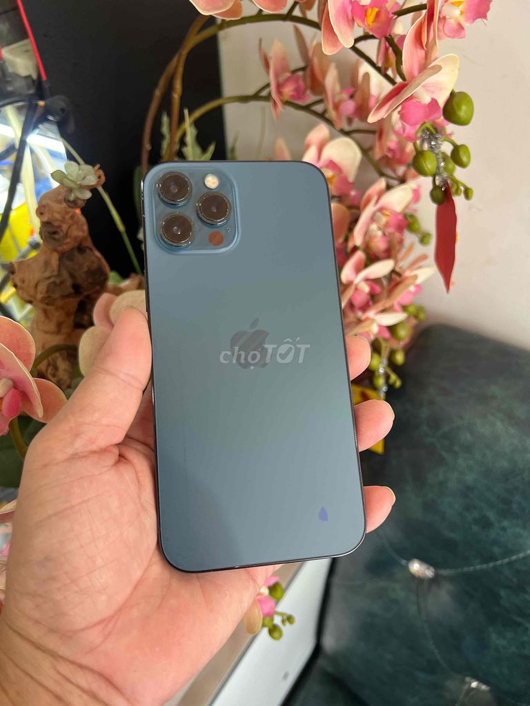 Apple iPhone 12 Pro Max 256GB quốc tế. Mua bán Điện thoại tại Thành phố Buôn Ma Thuột Đắk Lắk được đăng bởi Tèo Điện Thoại  hình 1