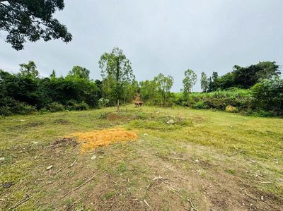 Cần bán đất Đức Bình Đông, Sông Hinh, Phú Yên. Mua bán đất tại Huyện Sông Hinh Phú Yên được đăng bởi Anh Quan