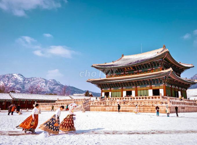 TẾT ÂM LỊCH – TOUR  Busan – Daegu – Seoul 6n5đ